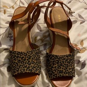 Cheetah wedges